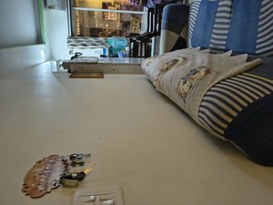 Living Room in 2 BHK Apartment at Sandesh Nagar – for Rent