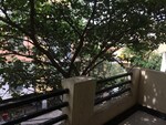 3 BHK + Basement 1588 Sq.Ft. Apartment in Koramangala