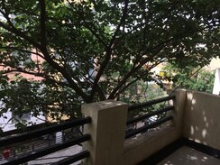 3 BHK + Basement Apartment For Rent in Koramangala
