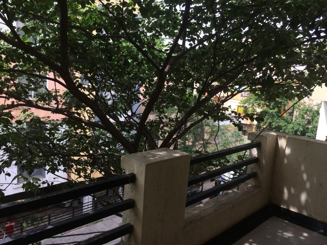 3 BHK + Basement Apartment For Rent in Koramangala