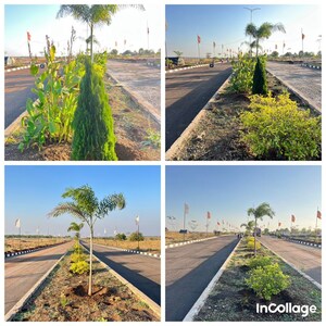  Plot – Garden View at Lakdi Ka Pul - for Sale