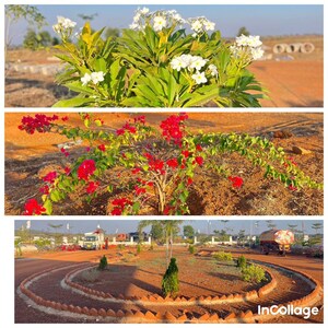  Plot – Garden View at Lakdi Ka Pul - for Sale