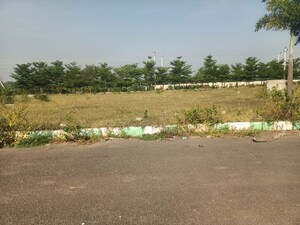  Plot For Sale in Chintapalli