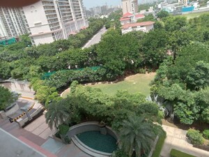 3 BHK Apartment For Rent in DLF The Skycourt, Sector 86