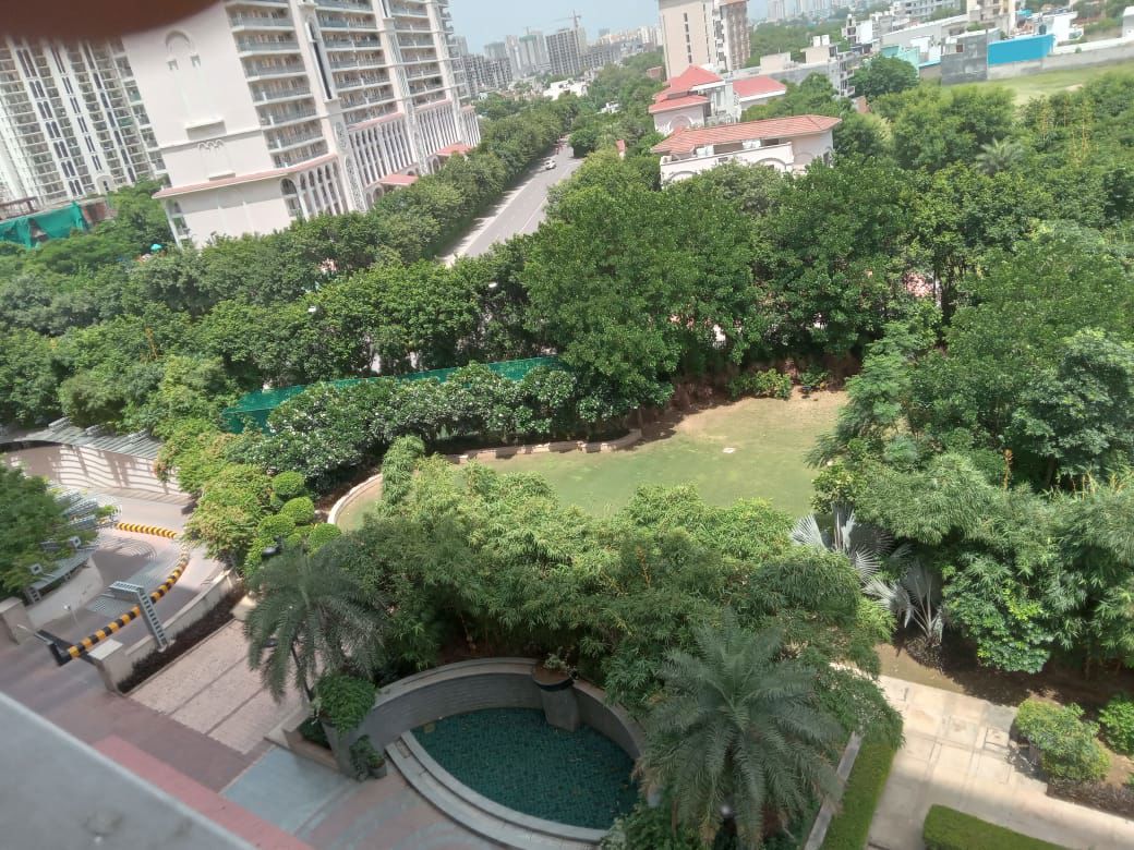 3 BHK Apartment For Sale in DLF The Skycourt