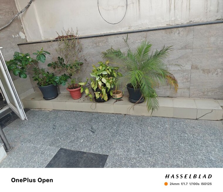 Balcony, sector 45 3 Bedroom 2300 Sq.Ft. Builder Floor In Sector 45 Gurgaon 10372377