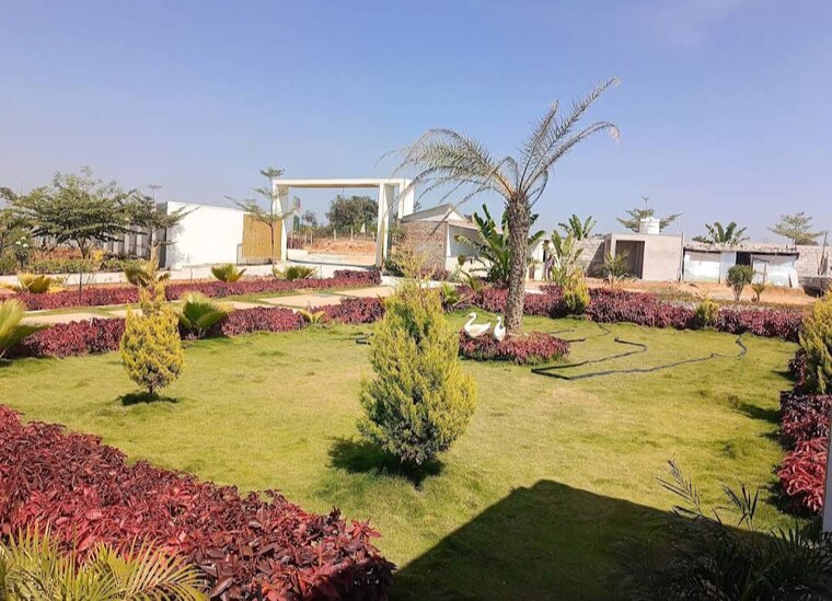 Garden, high grounds  2425 Sq.Ft. Plot In High Grounds Bangalore 10372458