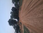 201 Sq.Yd. Plot in Sohna