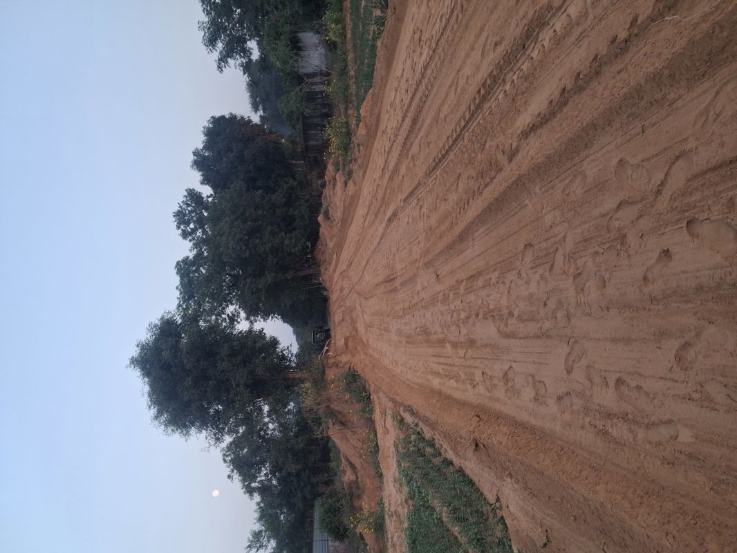 Plot For Sale in Sohna