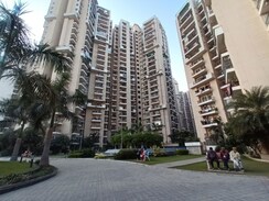 3 BHK Apartment For Sale in JM Florance