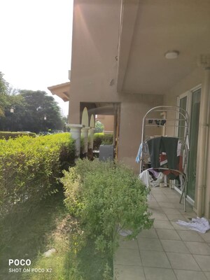 3.5 BHK Apartment – Exterior View View at DLF New Town Heights I, Sector 90 - for Rent