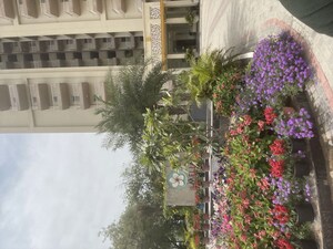 2.5 BHK Apartment – Exterior View View at Silverglades The Melia, Sohna Sector 35 - for Rent