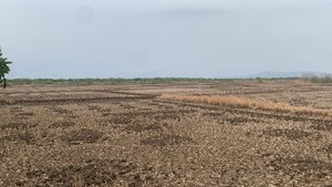 Plot Area in  Plot at Nere – for Sale