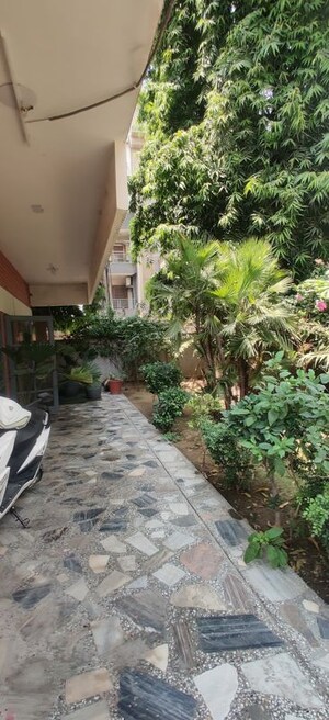 3.5 BHK Builder Floor – Exterior View View at Sector 21a - for Rent