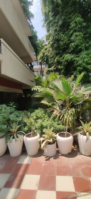 3.5 BHK Builder Floor – Garden View at Sector 21a - for Rent