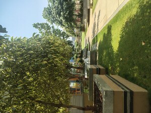 3 BHK Apartment For Rent in Rajapushpa Provincia, Narsingi