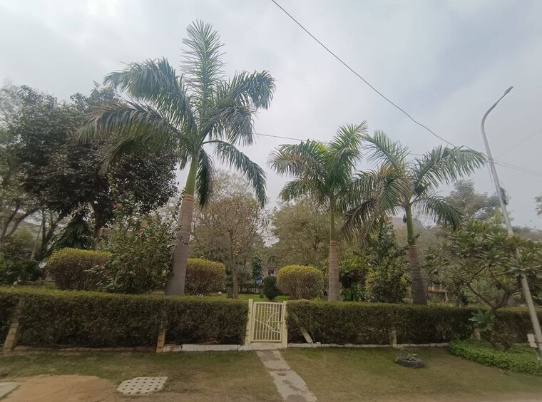 Garden, sector 37 greater noida 2 Bedroom 120 Sq.Mt. Independent House In Sector 37 Greater Noida Greater Noida 10373659