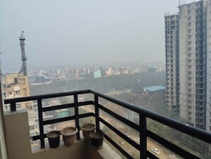 2 BHK Apartment For Rent in Amrapali Terrace Homes, Tech Zone 4 Greater Noida