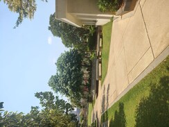 3 BHK + Pooja Room Apartment For Rent in My Home Avatar