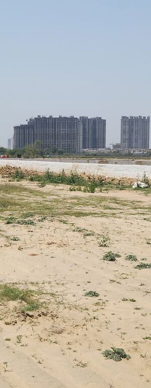 Plot Area in  Plot at Bernard Homes, Sector 17a Yamuna Expressway – for Sale