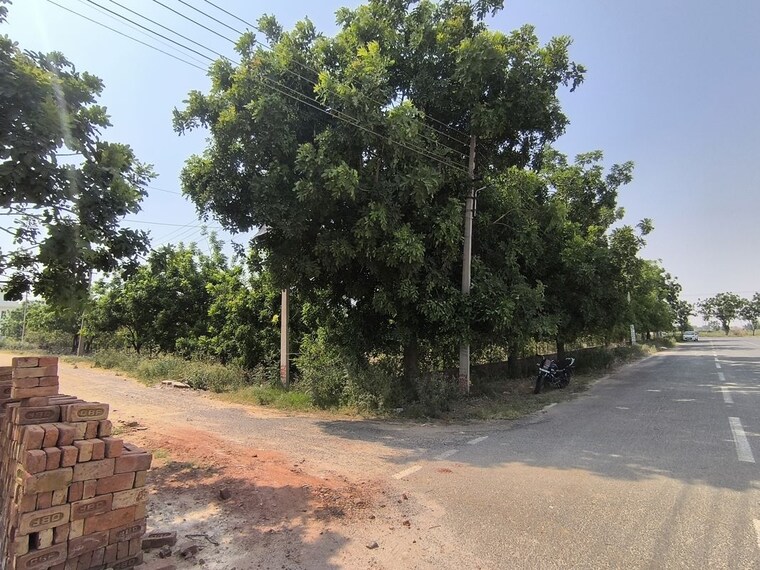 undefined, 3b-homes-pataudi-one  104 Sq.Yd. Plot In Rampura Gurgaon 10373858