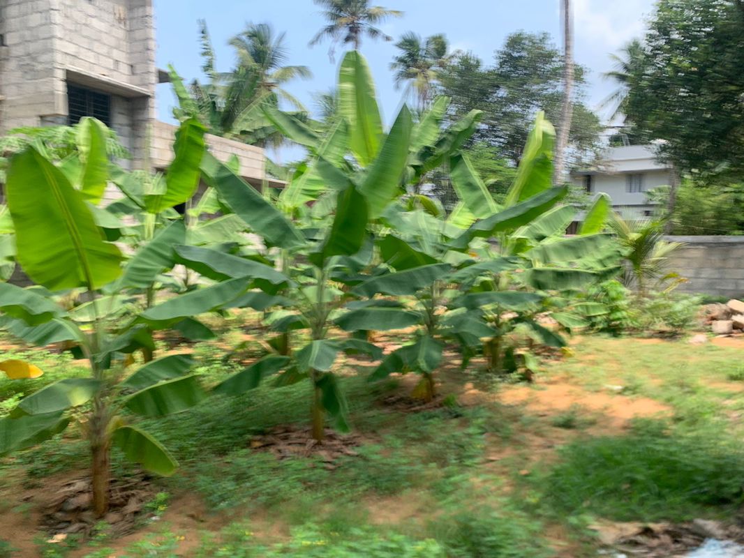 Plot For Sale in Anayara