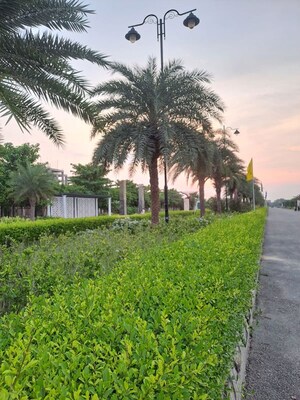  Plot – Garden View at Omaxe City, Omaxe City - for Sale