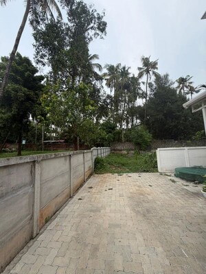 Plot Area in  Plot at Cheroor – for Sale
