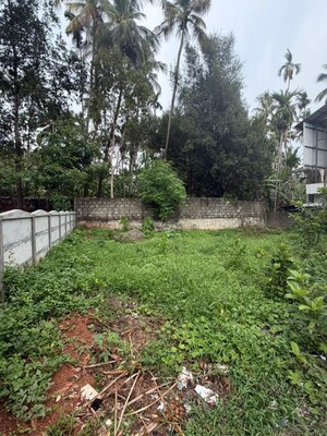 Plot Area in  Plot at Cheroor – for Sale