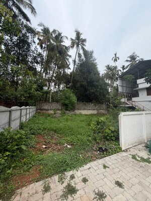 Plot Area in  Plot at Cheroor – for Sale