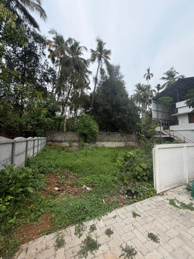 undefined, cheroor  2178 Sq.Ft. Plot In Cheroor Thrissur 10373952