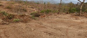  Land – Exterior View View at Kansal - for Sale
