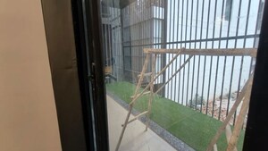 Balcony in 3 BHK Builder Floor at Dlf Phase V – for Rent