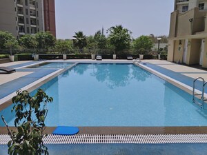 Swimming Pool in 4 BHK Apartment at 3C Lotus Panache, Sector 110 – for Rent