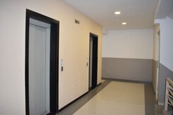 3 BHK Apartment For Rent in Balewadi