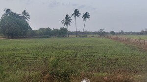  Land For Sale in Bardoli