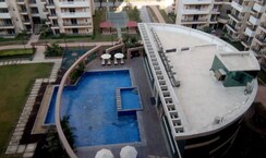 3 BHK + Servant Room Apartment For Sale in Paramount Floraville