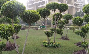 3 BHK Apartment – Garden View at Purvanchal Royal Park, Sector 137 - for Sale