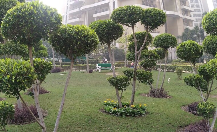 Garden, purvanchal-royal-park 3 Bedroom 1950 Sq.Ft. Apartment In Sector 137 Noida 10374737