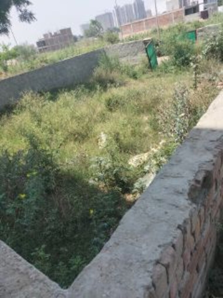 Garden, noida central  125 Sq.Yd. Plot In Noida Central Noida 10374839