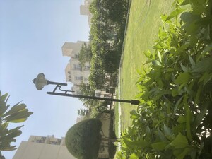 2 BHK Builder Floor – Garden View at Signature Global Park, Sohna Sector 36 - for Rent