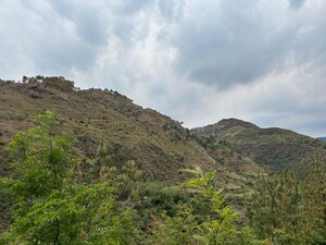  Land For Sale in Junga