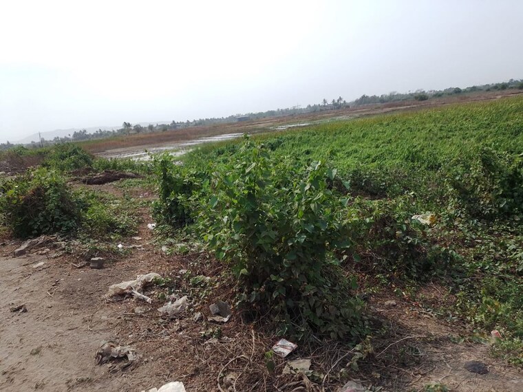 undefined, panvel  1089 Sq.Ft. Plot In Panvel Navi Mumbai 10375379