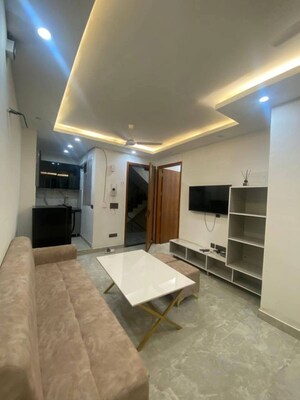 Living Room in 1 BHK Apartment at Saket – for Rent