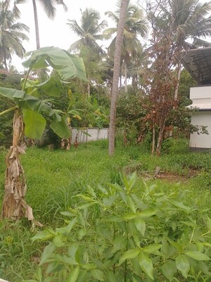  Plot For Sale in Kuttoor