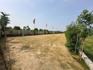 Plot Area in  Plot at NKV Golden Avenue, Sohna Sector 35 – for Sale