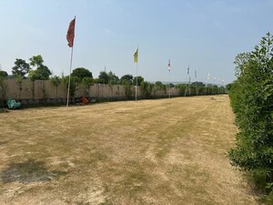 Plot Area in  Plot at NKV Golden Avenue, Sohna Sector 35 – for Sale