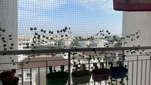 3 BHK Apartment – Exterior View View at Puravankara Purva Westend Fresco, Kudlu Gate - for Rent