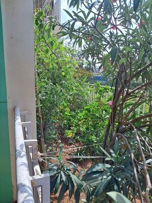 Balcony in 3 BHK Apartment at Salarpuria Sattva Cadenza, Kudlu Gate – for Sale