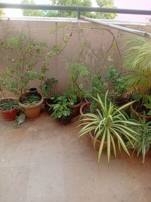 2 BHK Apartment – Garden View at Magarpatta City Cosmos, Magarpatta Road - for Rent